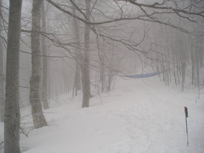 Snežnik 12.03.2005 - foto povečava