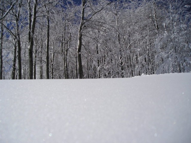 Snežnik 11.03.2006 - foto