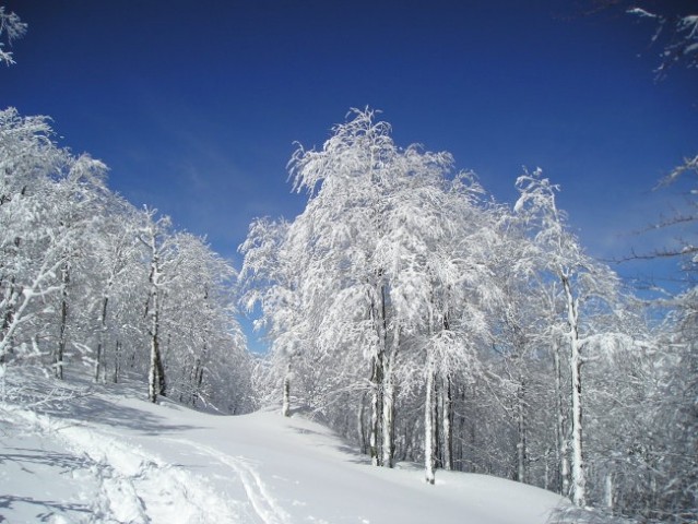 Snežnik 11.03.2006 - foto