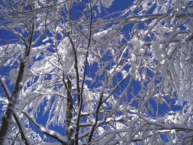 Snežnik 11.03.2006 - foto