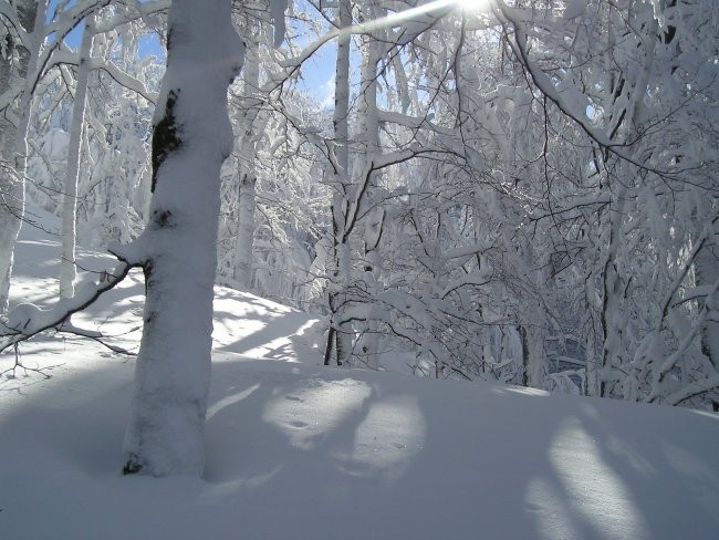 Snežnik 11.03.2006 - foto povečava