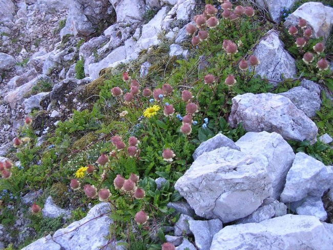 Mangart 22.07.2006 - foto povečava