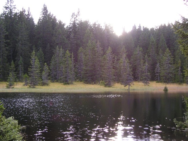 Falski taht 21.10.2006 - foto povečava