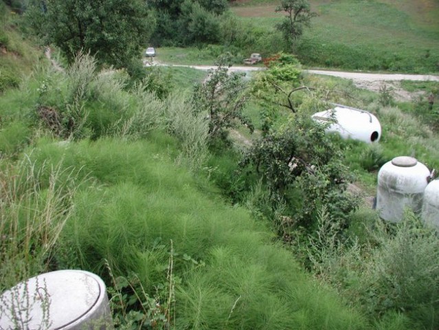 Šembric - foto