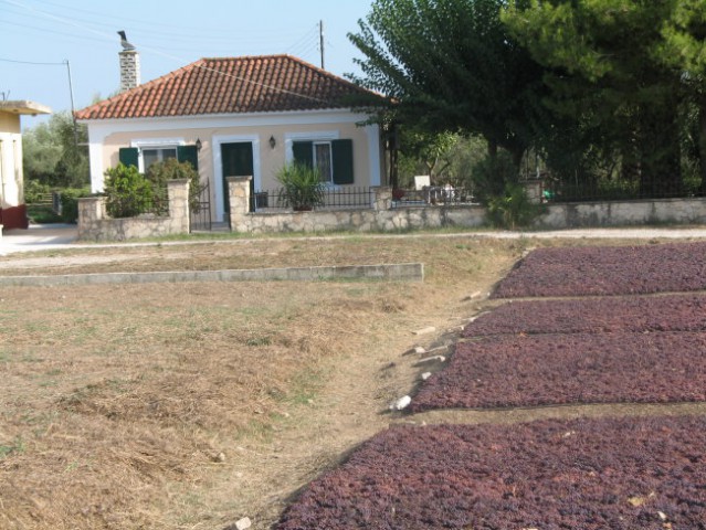 Zakynthos 2006 - foto