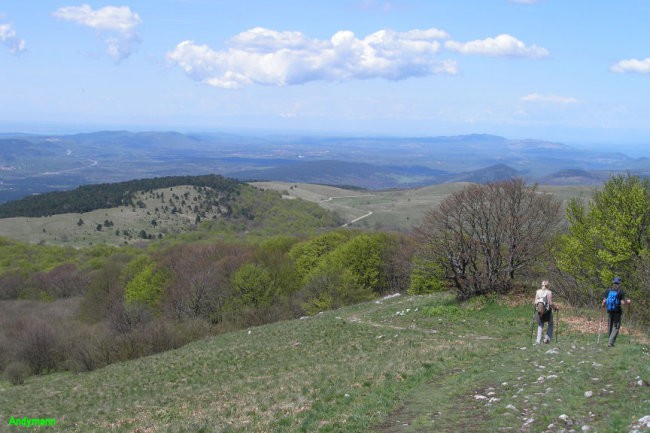 Vremščica (maj 2008) - foto povečava