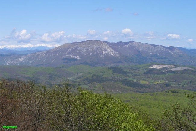 Vremščica (maj 2008) - foto povečava