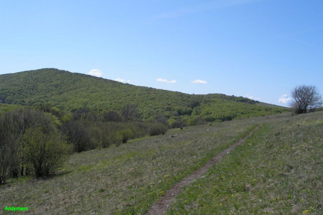 Vremščica (maj 2008) - foto povečava