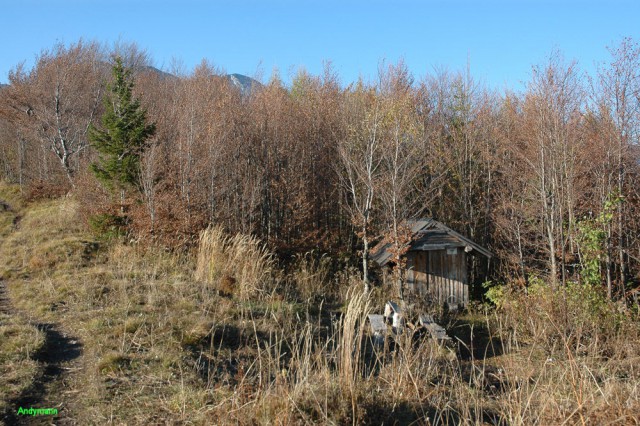 Kamniški vrh (okt 2008) - foto