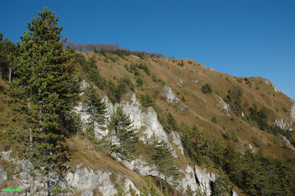 Kamniški vrh (okt 2008) - foto povečava