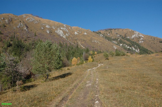 Kamniški vrh (okt 2008) - foto