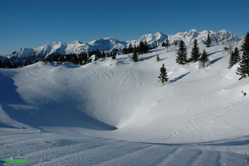 Velika planina (dec 2008) - foto povečava