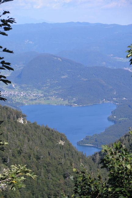 Bohinjsko jezero