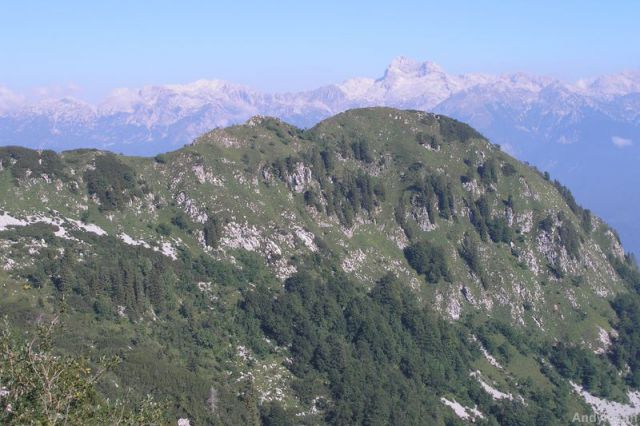 Pogled na triglav