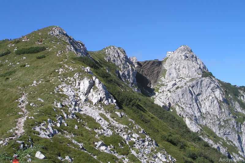 črna prst