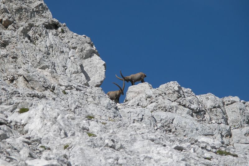 Kranjska Rinka (avg 2011) - foto povečava