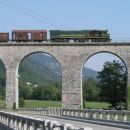Vogel (jul 2006)