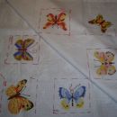prvi del je končan -  metuljčki iz krožnega swapa III. - 2007