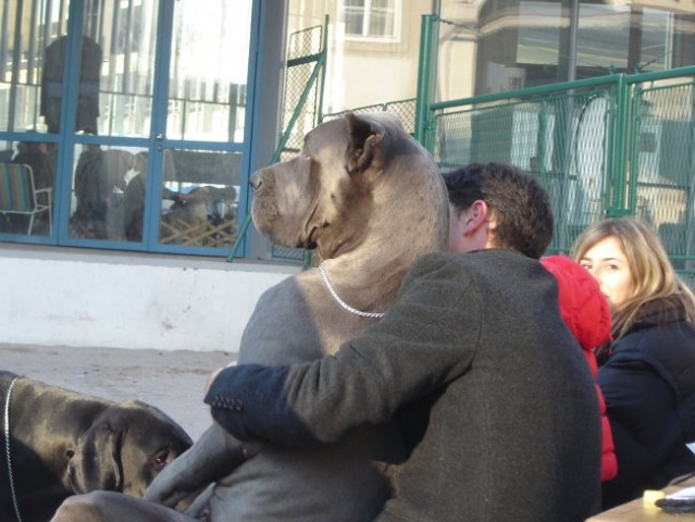 Razstava 15.1.2005 Lj. - foto
