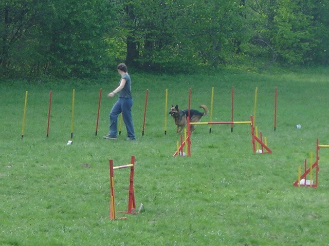 Agility trening - foto