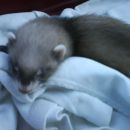 Micena Kira ^^