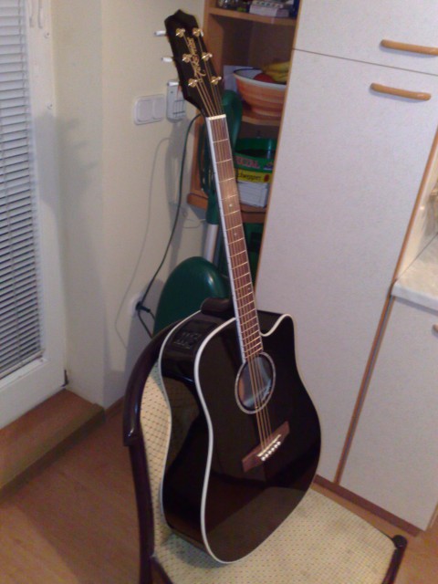 Takamine EG341SC - foto