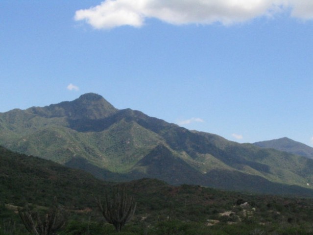 Isla de Margarita-Julij 2005 - foto