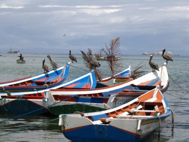 Isla de Margarita-Julij 2005 - foto