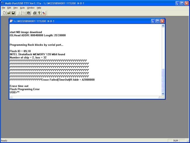 DLANČNIK - foto povečava