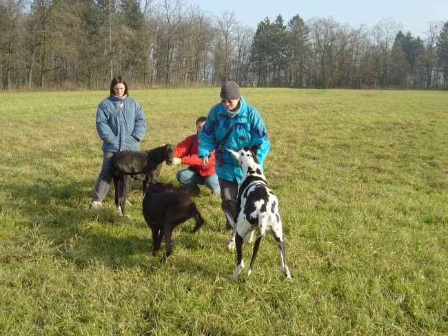 Sprehod zajcja dobrava-11.12.2004 - foto povečava