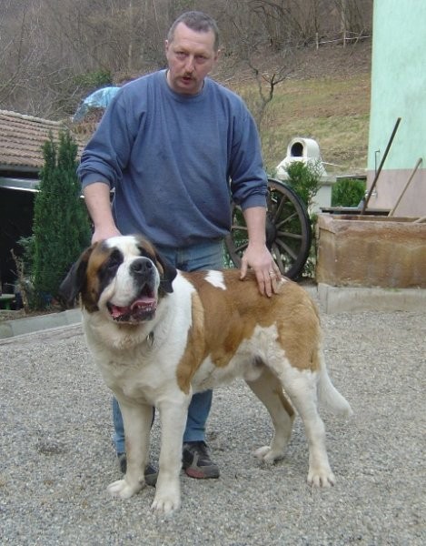 Ullian du Val du Morakopf (marec 2005) - Binin brat (z vzrediteljem)