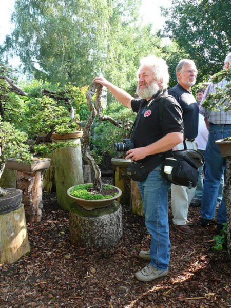 BONSAI - foto povečava