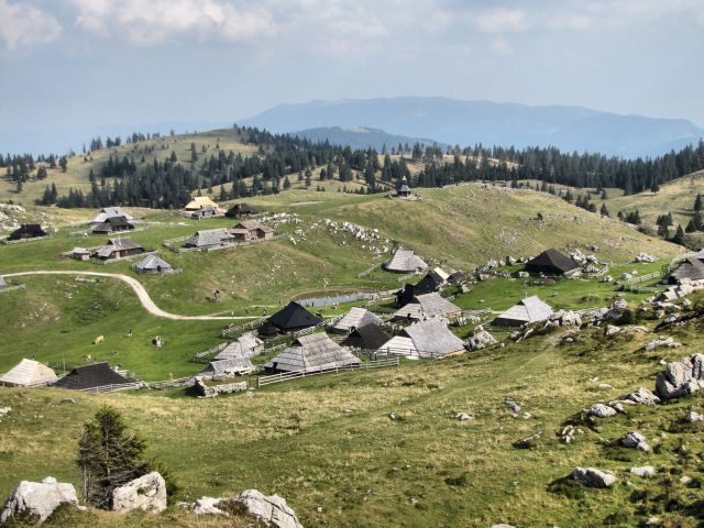 Velika planina - foto