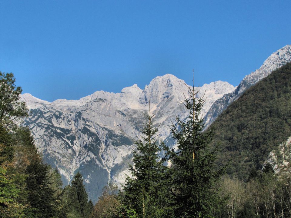 Velika planina - foto povečava