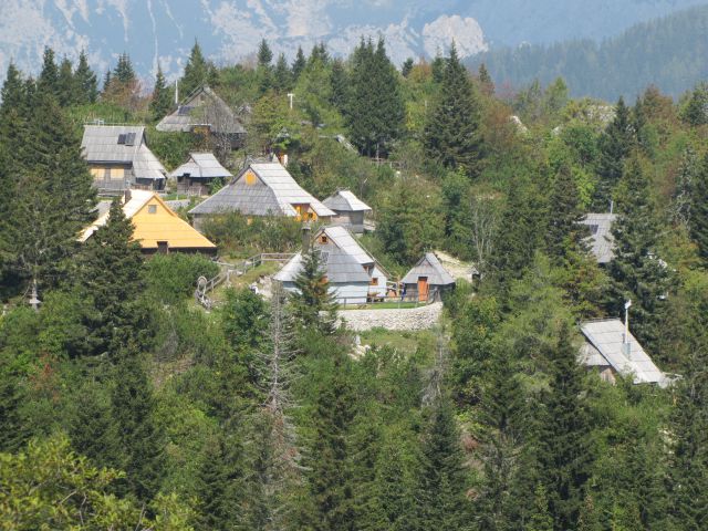 Velika planina - foto