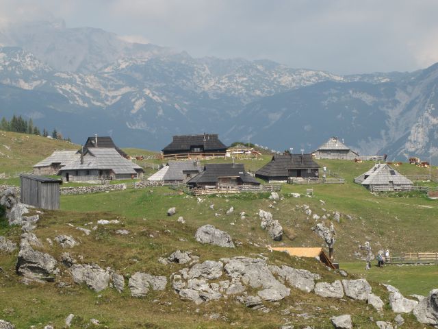 Velika planina - foto