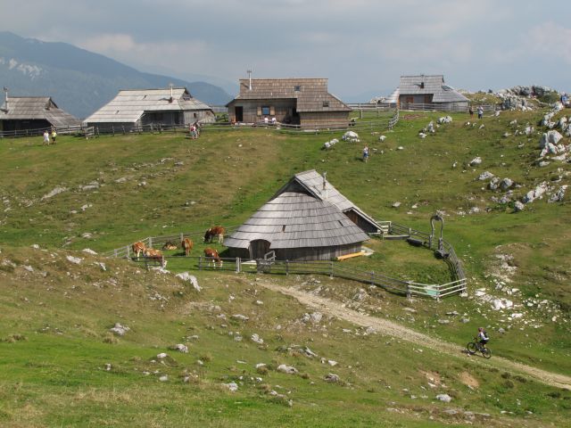 Velika planina - foto