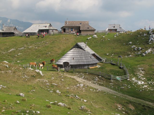 Velika planina - foto