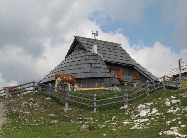 Velika planina - foto