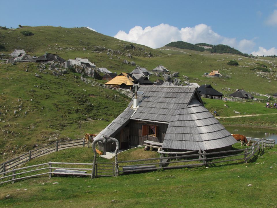 Velika planina - foto povečava