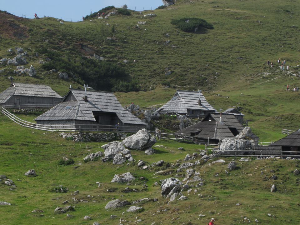 Velika planina - foto povečava