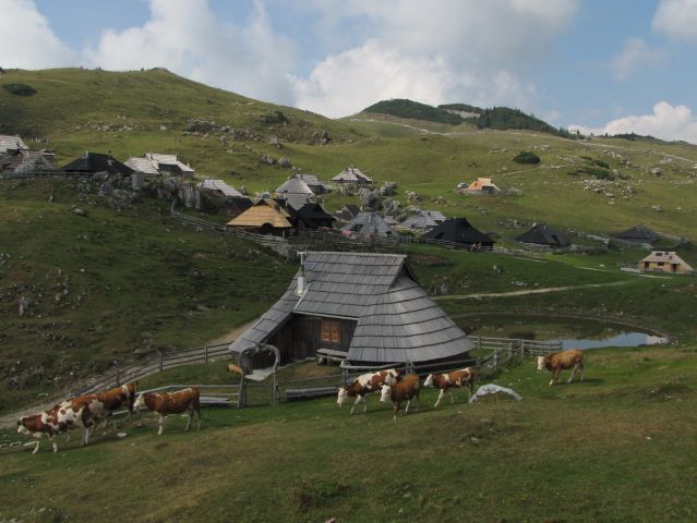 Velika planina - foto