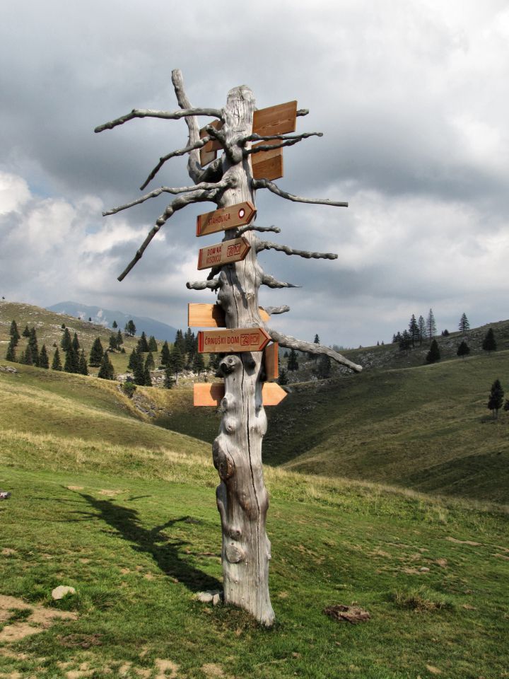 Velika planina - foto povečava