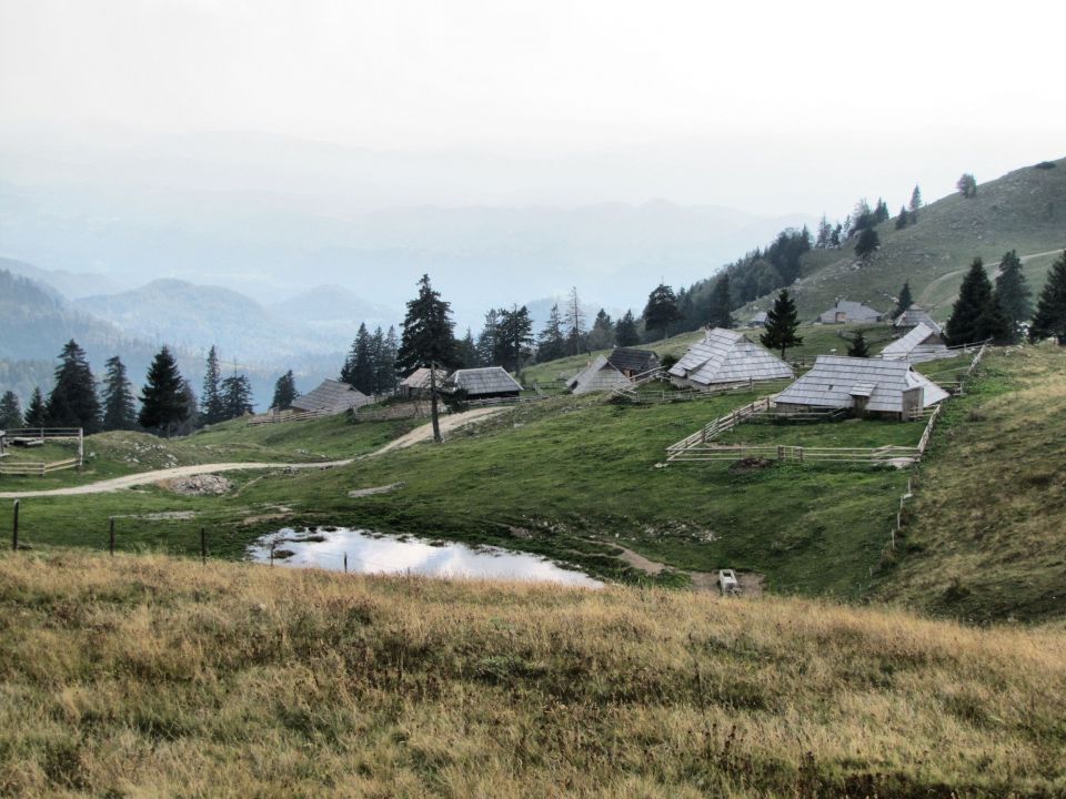 Velika planina - foto povečava