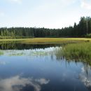 Črno jezero