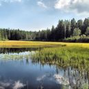 Črno jezero