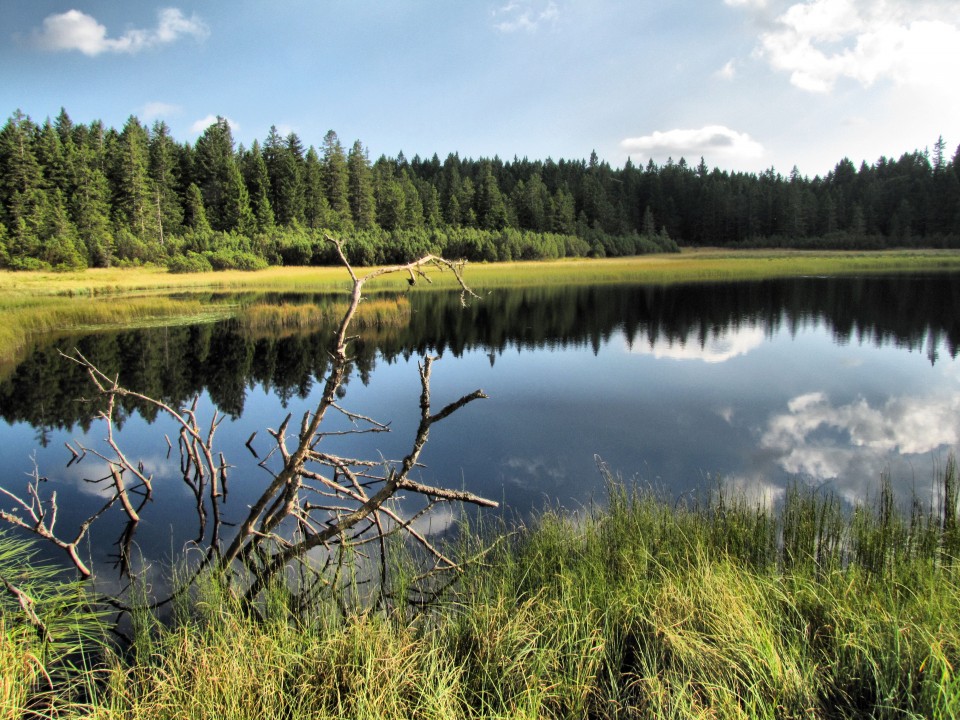 Črno jezero