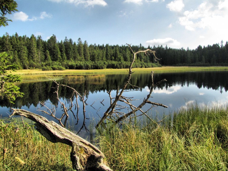 Črno jezero