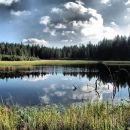 Črno jezero