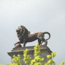 Bruselj 76 - Waterloo